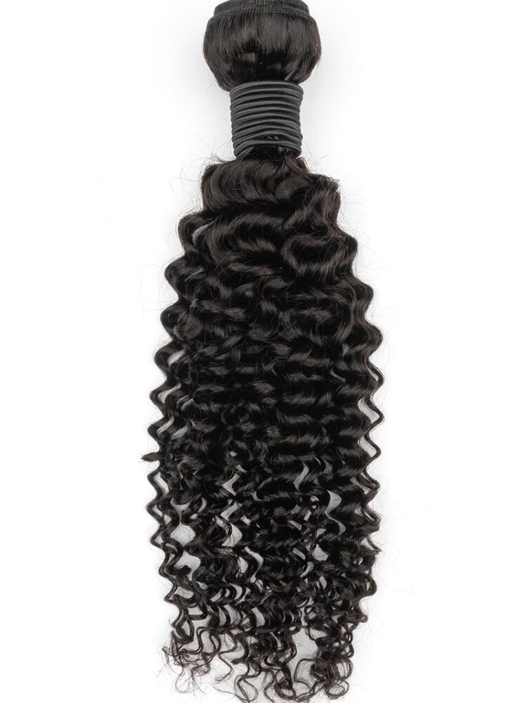 Single bundle of kinky curly human hair.