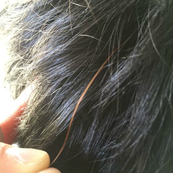 A red strand of hair growing on a Chinese person's head. Definitely not a synthetic hair filler.