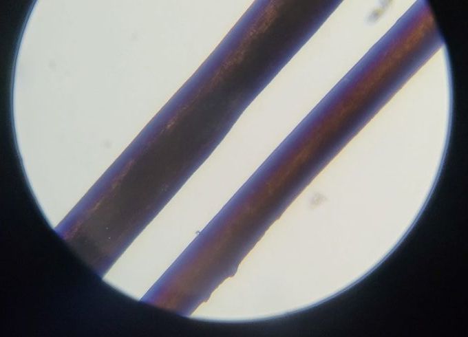 Hair under a microscope comparison: Left - Colored Remy Machine Aligned Hair, Right - Cuticle Aligned Hair