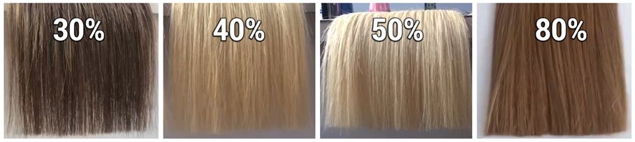 Visualizing Hair Fullness Ratios: 30%, 40%, 50%, 80%