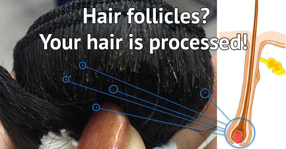 A close-up photo of a hair extension weft revealing tiny white bulbs at the base, with a graphic highlighting that these are hair follicles—a key indicator of processed floor hair.